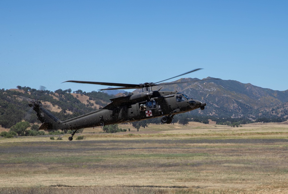 TAA Nebula Medevac