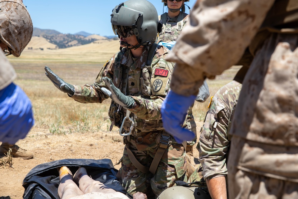 TAA Nebula Medevac