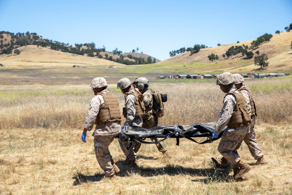 TAA Nebula Medevac