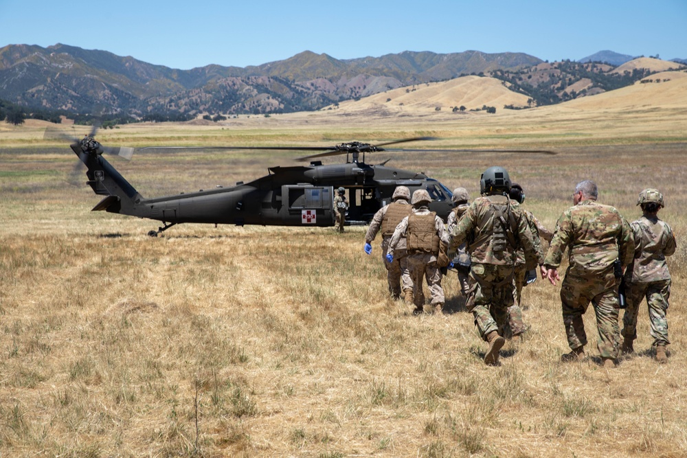 TAA Nebula Medevac