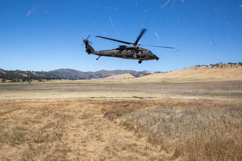TAA Nebula Medevac