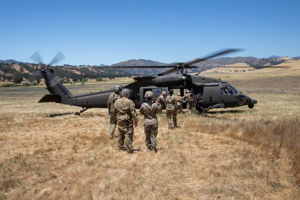 TAA Nebula Medevac