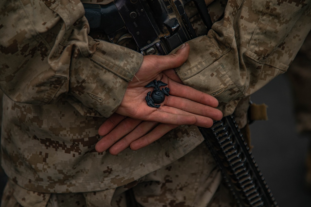 MCRD San Diego Bravo Company EGA Ceremony