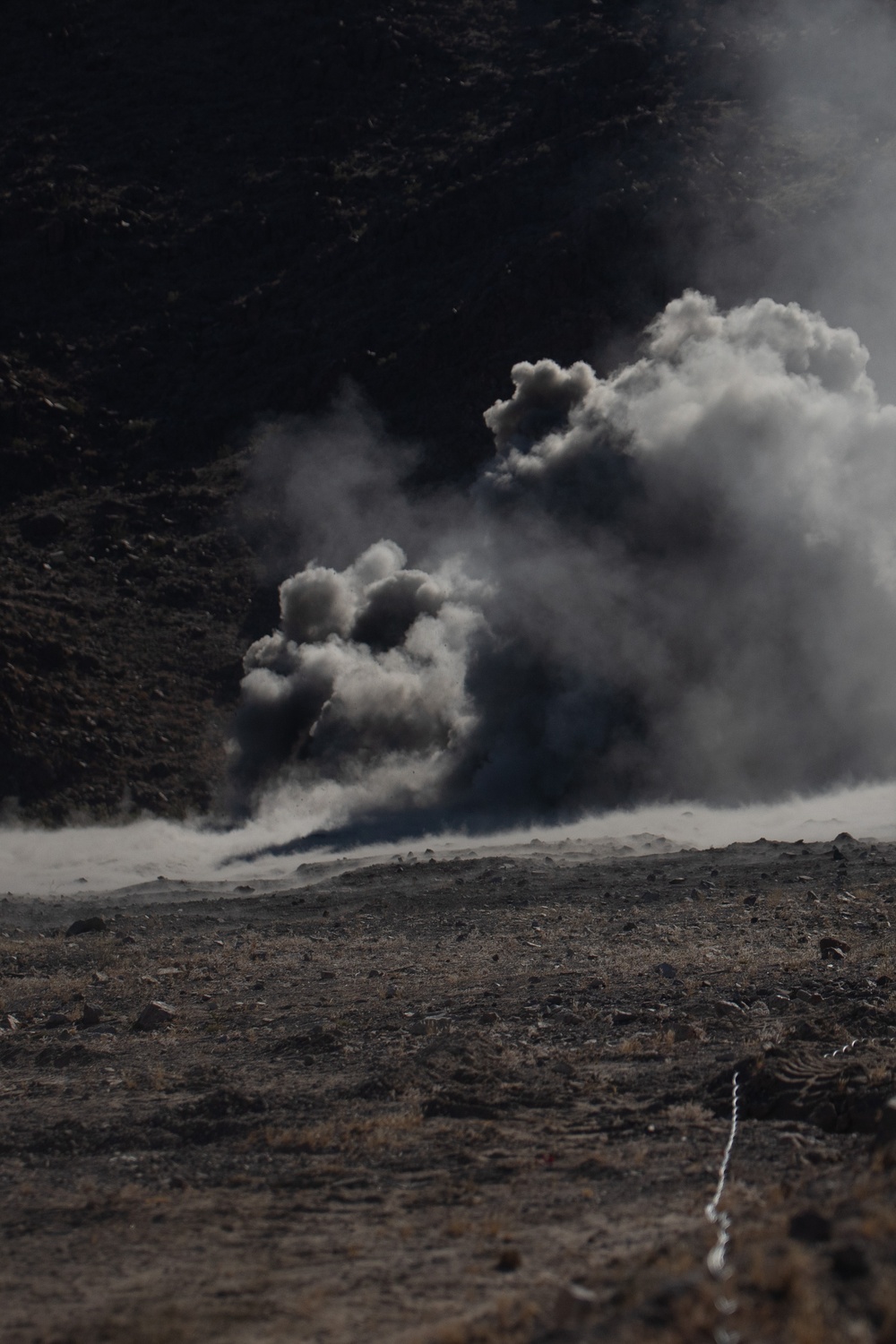 4th Combat Engineer Battalion demonstrates anti-personnel obstacle breaching system at Integrated Training Exercise 4-24