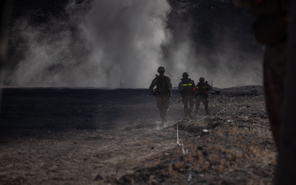 4th Combat Engineer Battalion demonstrates anti-personnel obstacle breaching system at Integrated Training Exercise 4-24