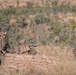 MRF-D 24.3: Marines prepare for live-fire defense during exercise Southern Jackaroo 24