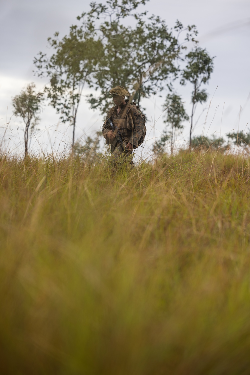 MRF-D 24.3: Marines emplace obstacles during Exercise Southern Jackaroo 24