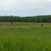 Paratroopers conduct Airborne operations during RED FLAG-Alaska 24-2