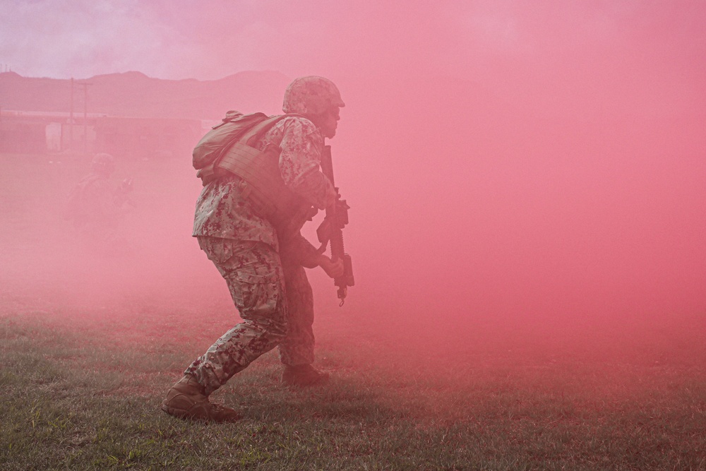 NMCB 11 and EODMU 5 Field Training