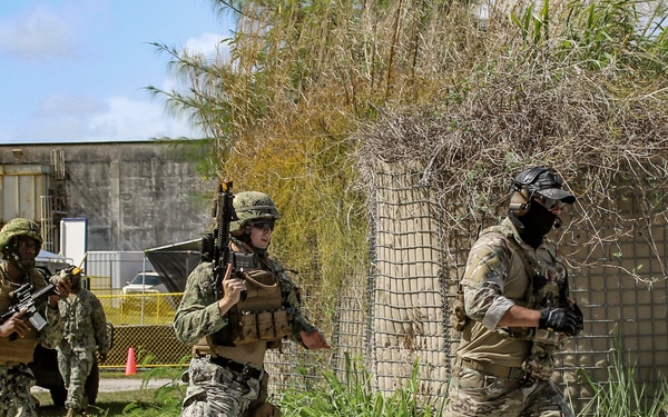 NMCB 11 and EODMU 5 Field Training