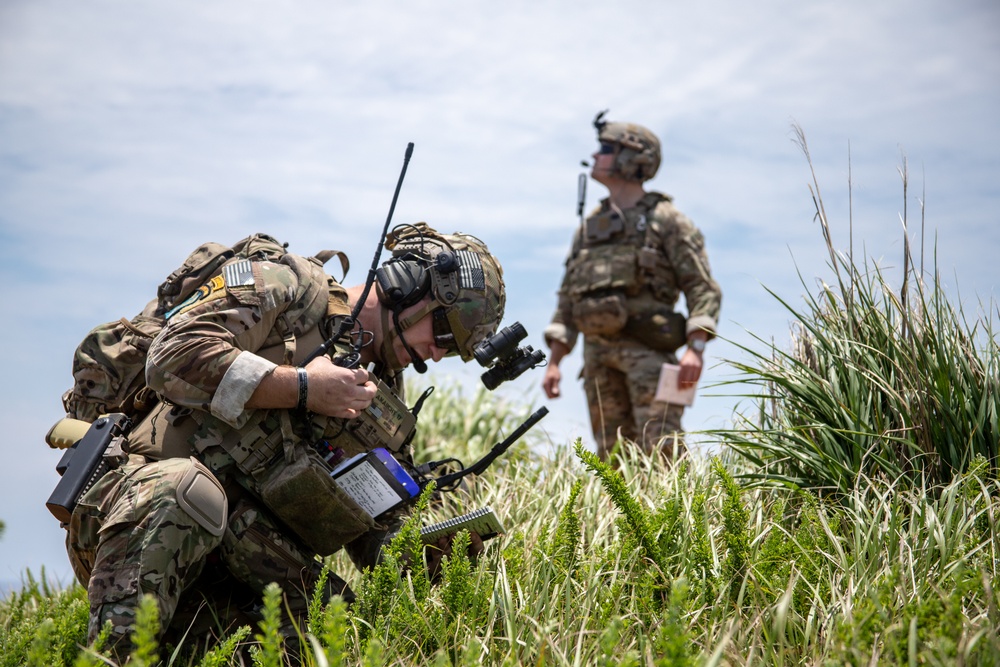 Joint Close Air Support and Fires Training