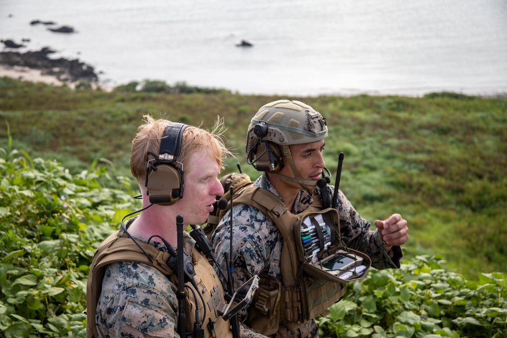 Joint Close Air Support and Fires Training