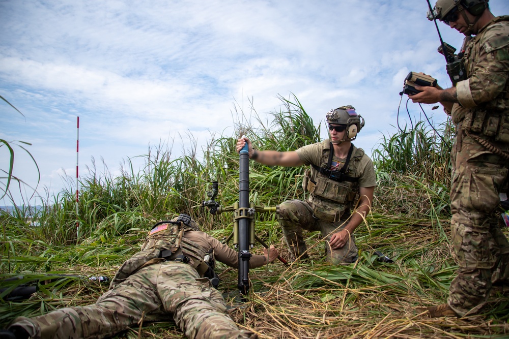 Joint Close Air Support and Fires Training