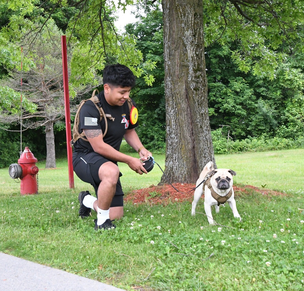 Fort Drum 5K run showcases four-legged community members