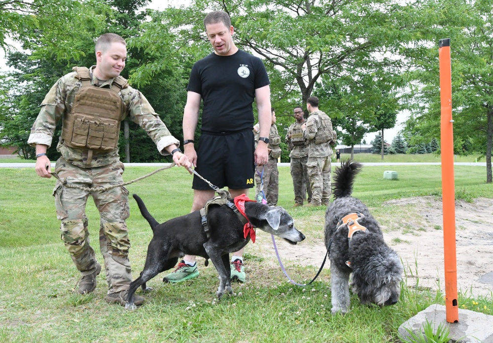 DVIDS - Images - Fort Drum 5K run showcases four-legged community ...