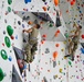 Basic Climbing Course