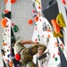 Basic Climbing Course