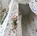 Basic Climbing Course