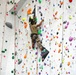 Basic Climbing Course