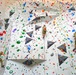Basic Climbing Course