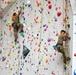 Basic Climbing Course