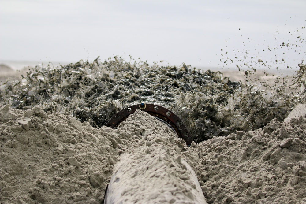 Charleston District Hosts Media Day At Bird Key-Stono Seabird Sanctuary