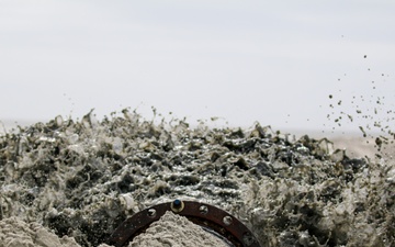 Renourishment of Bird Key Has Shorebirds Rejoicing