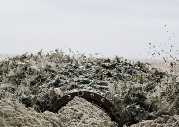 Renourishment of Bird Key Has Shorebirds Rejoicing