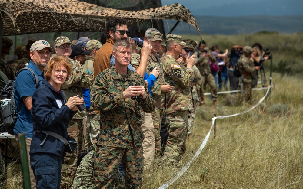 Ivy Mass DV Day Ivy Mass DV Day