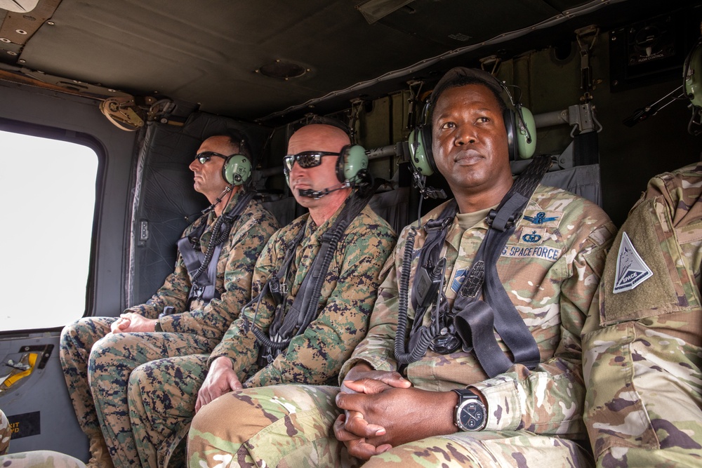 Ivy Mass DV Day Ivy Mass DV Day