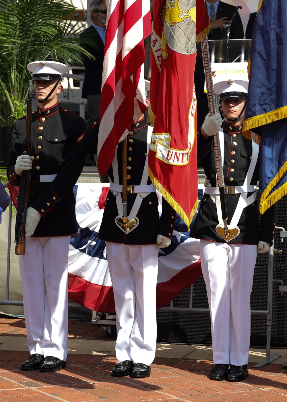 DVIDS Images Maryland Fleet Week, Flyover Baltimore 2024 [Image 1 of 4]