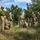 LRAFB hosts inaugural Phoenix Forge training