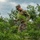 LRAFB hosts inaugural Phoenix Forge training