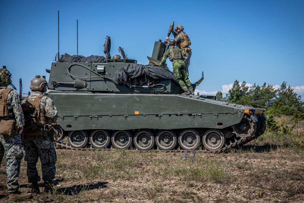 DVIDS - Images - 2nd ANGLICO Marines, Swedish Army call for fire in ...