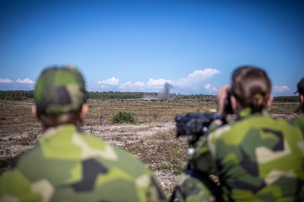 2nd ANGLICO Marines, Swedish Army call for fire in Sweden during BALTOPS 24