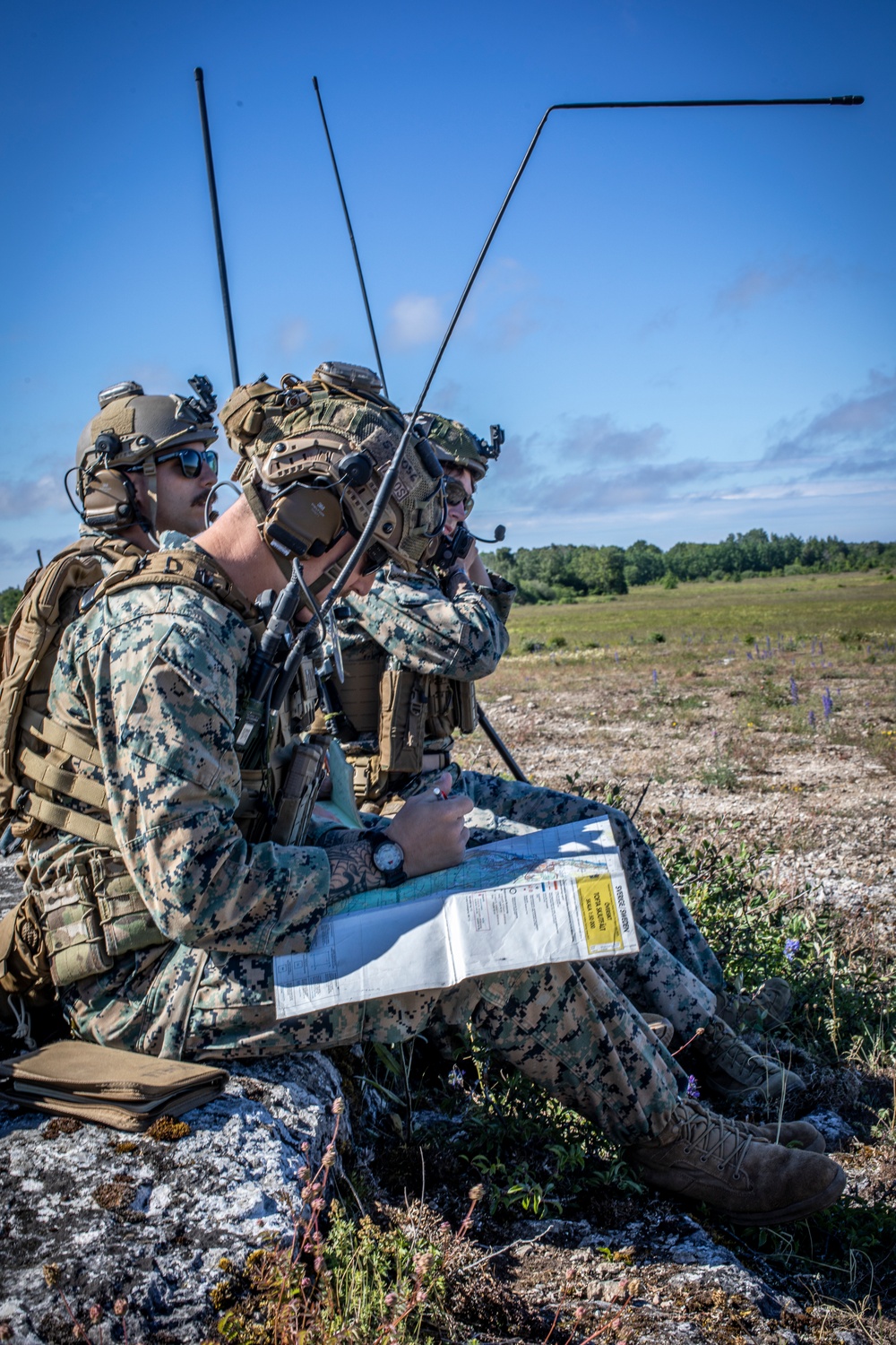 DVIDS - Images - 2nd ANGLICO Marines, Swedish Army call for fire in ...