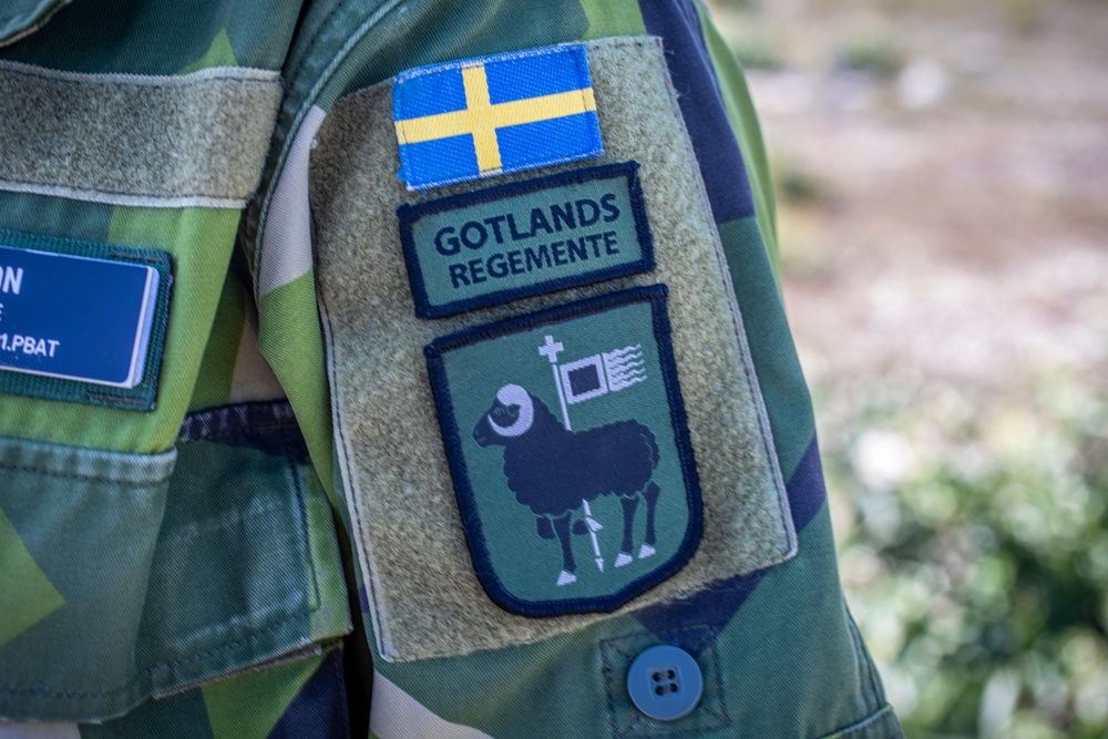 2nd ANGLICO Marines, Swedish Army call for fire in Sweden during BALTOPS 24