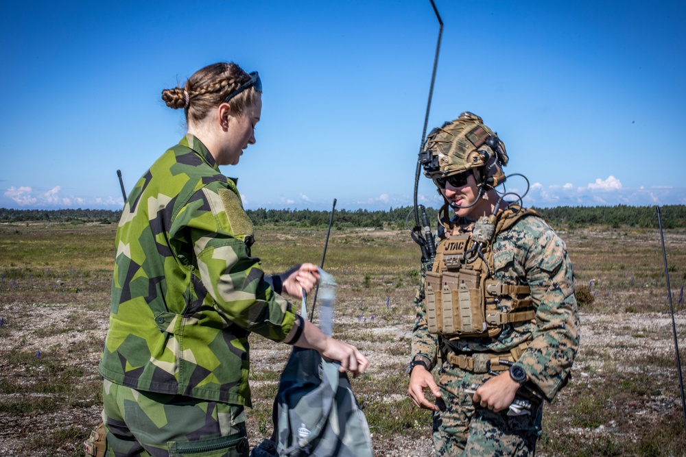 2nd ANGLICO Marines, Swedish Army call for fire in Sweden during BALTOPS 24