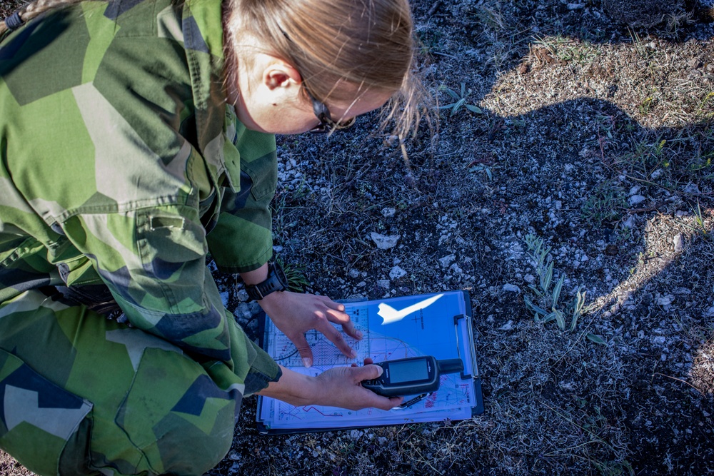 DVIDS - Images - 2nd ANGLICO Marines, Swedish Army call for fire in ...