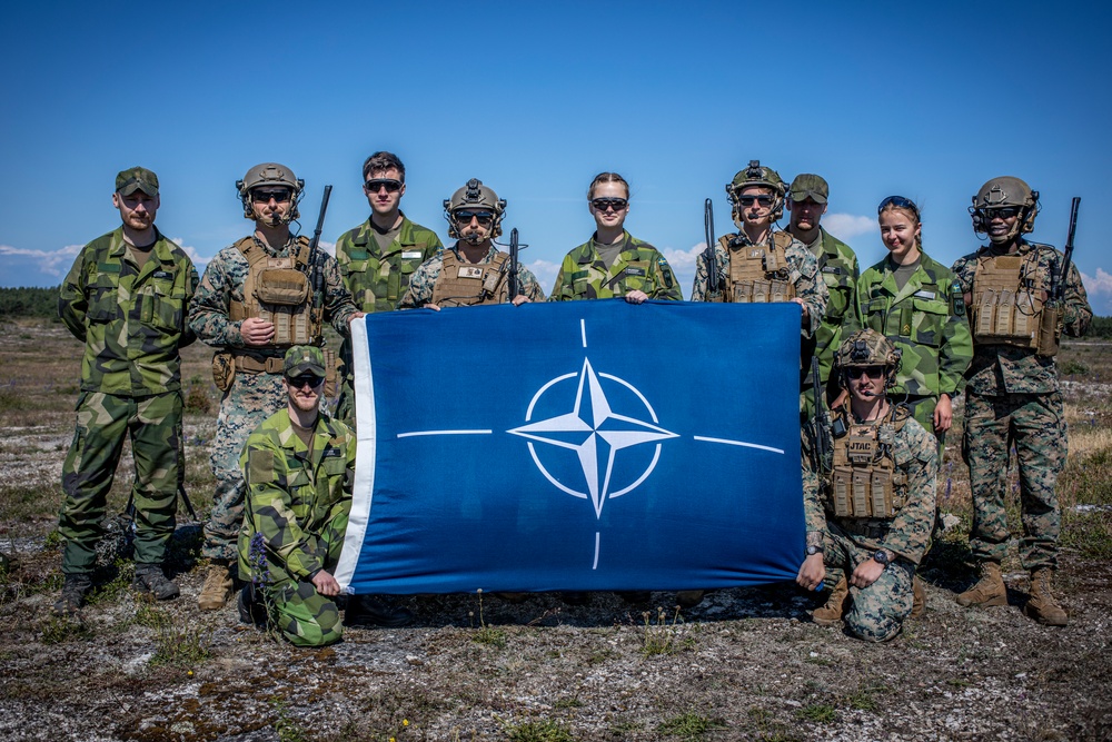 2nd ANGLICO Marines, Swedish Army call for fire in Sweden during BALTOPS 24