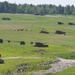 1-91 CAV sniper training