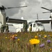 VMM-365 (REIN), 24th MEU (SOC) Trains with French Special Forces