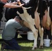 Fort McCoy Participates in Butterfest 2024 Milking Contest