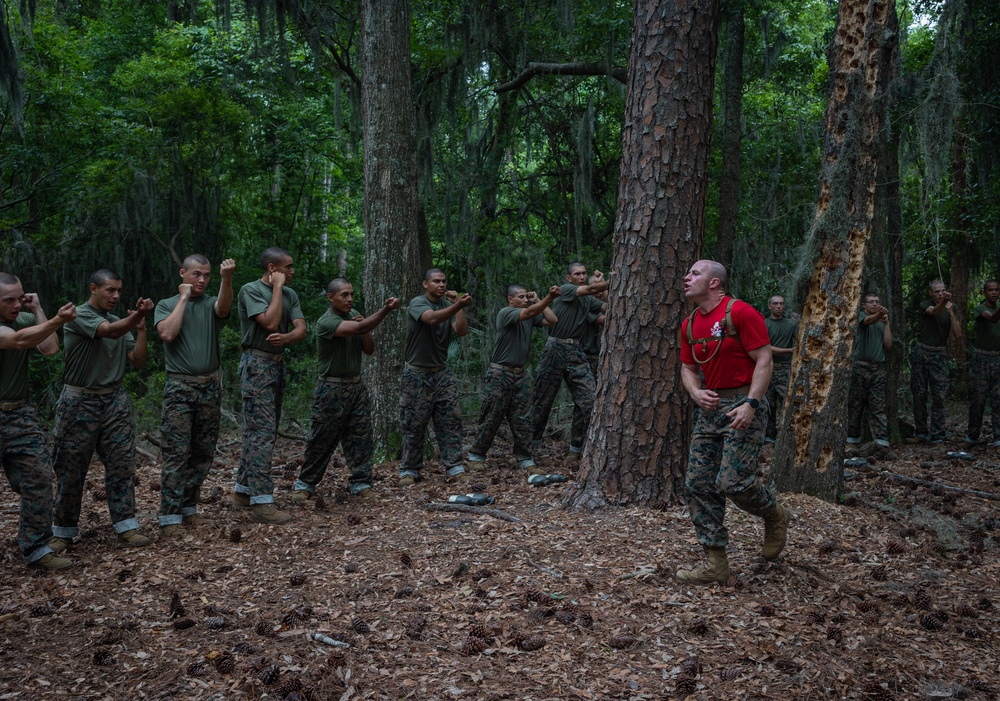 Charlie Company Body Sparring