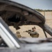 U.S. Marines, Emirati soldiers patrol infantry immersion trainer