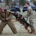 Police Week K9 competition