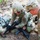 JB MDL- WAREX 24 Army Warrior Tasks JB MDL- WAREX 24 Army Warrior Tasks