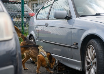 MWD Certification on Chièvres Air Base