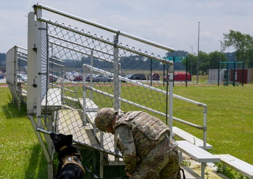 MWD Certification on Chièvres Air Base