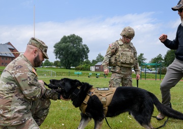 MWD Certification on Chièvres Air Base